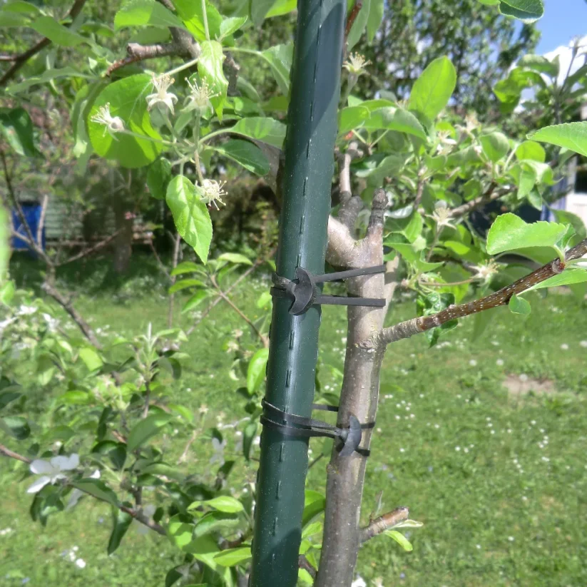 Gumičky do sadu